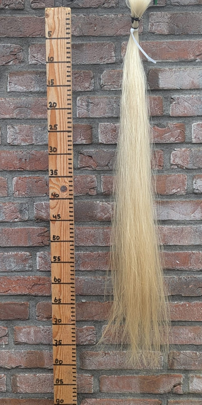 15/10 Witte staart met iets gele onderkant.