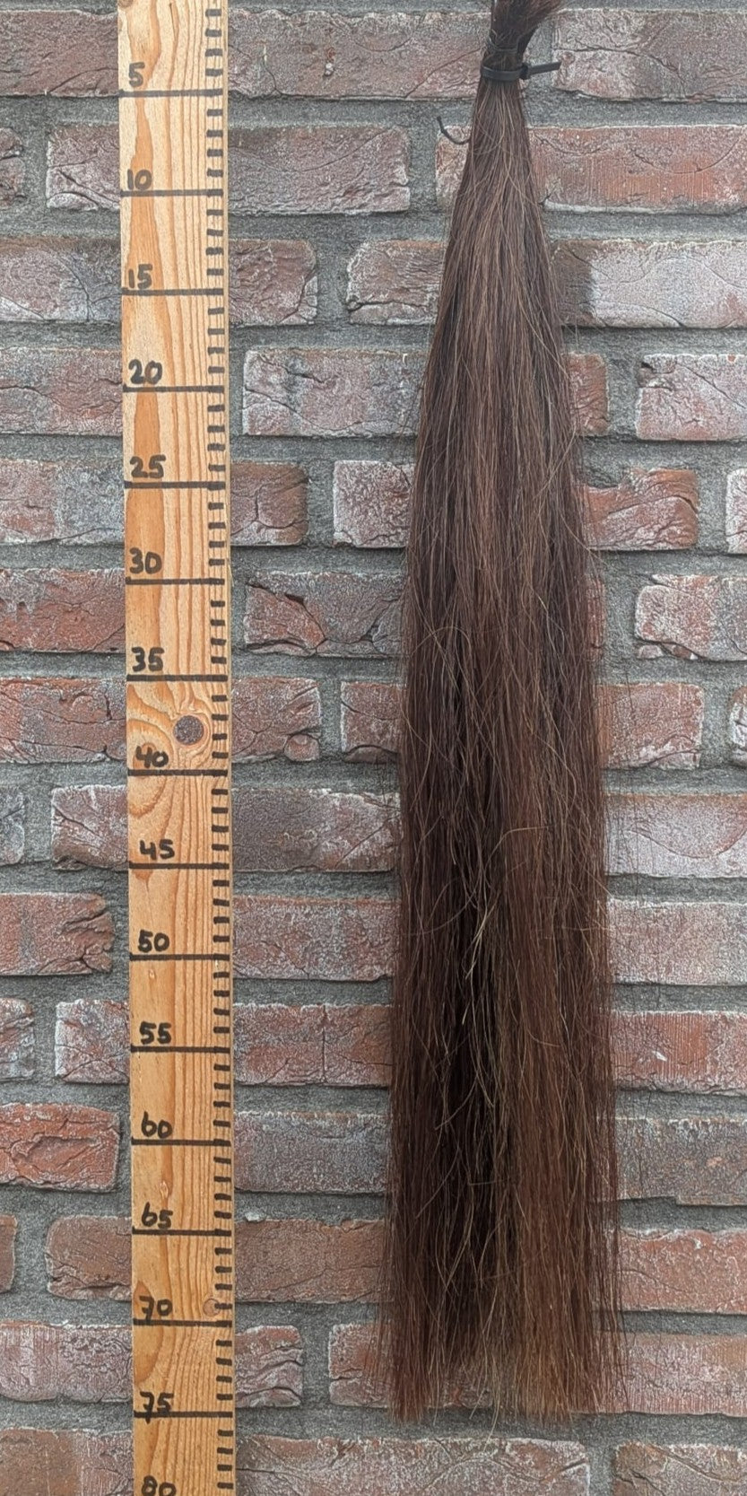 17/10 Donkere voskleur staart.