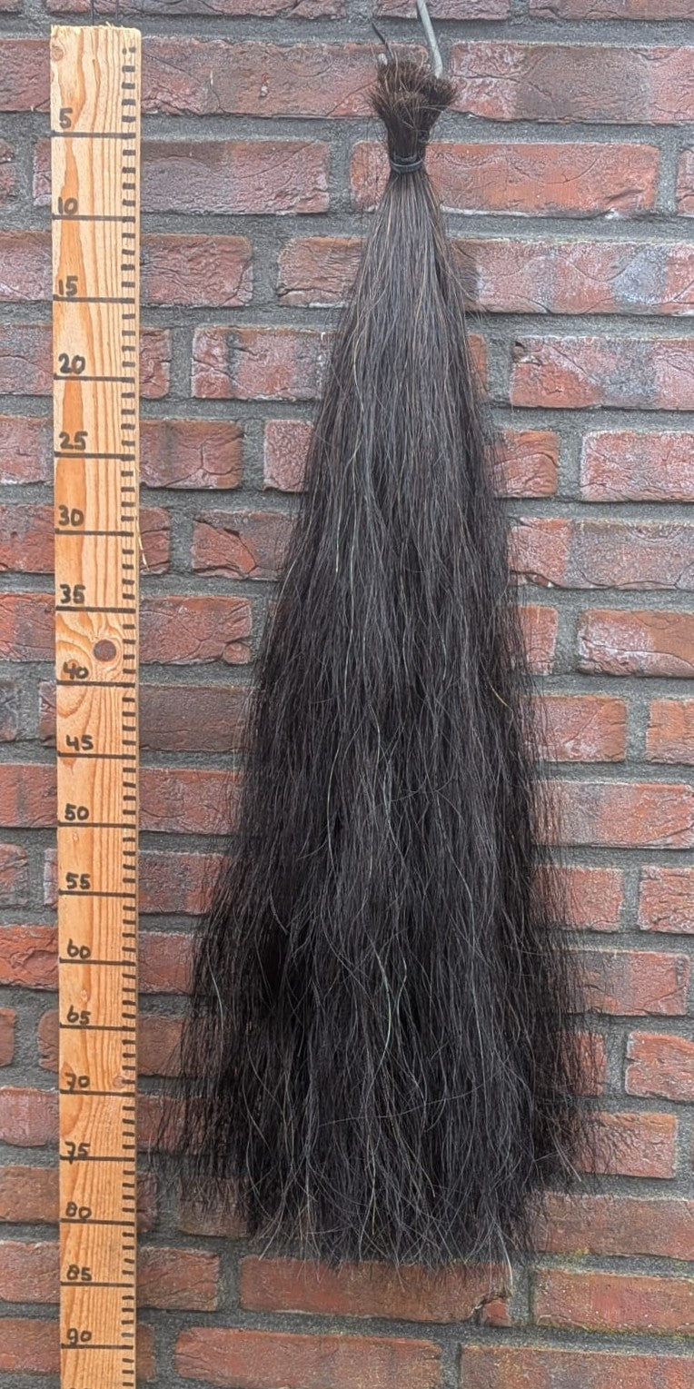 18/7 Volle zwarte staart.