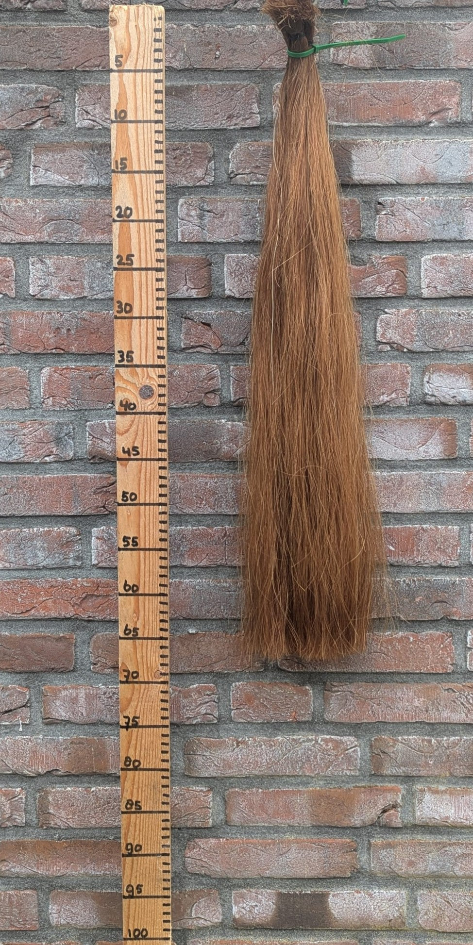 18/10 Voskleur staart.