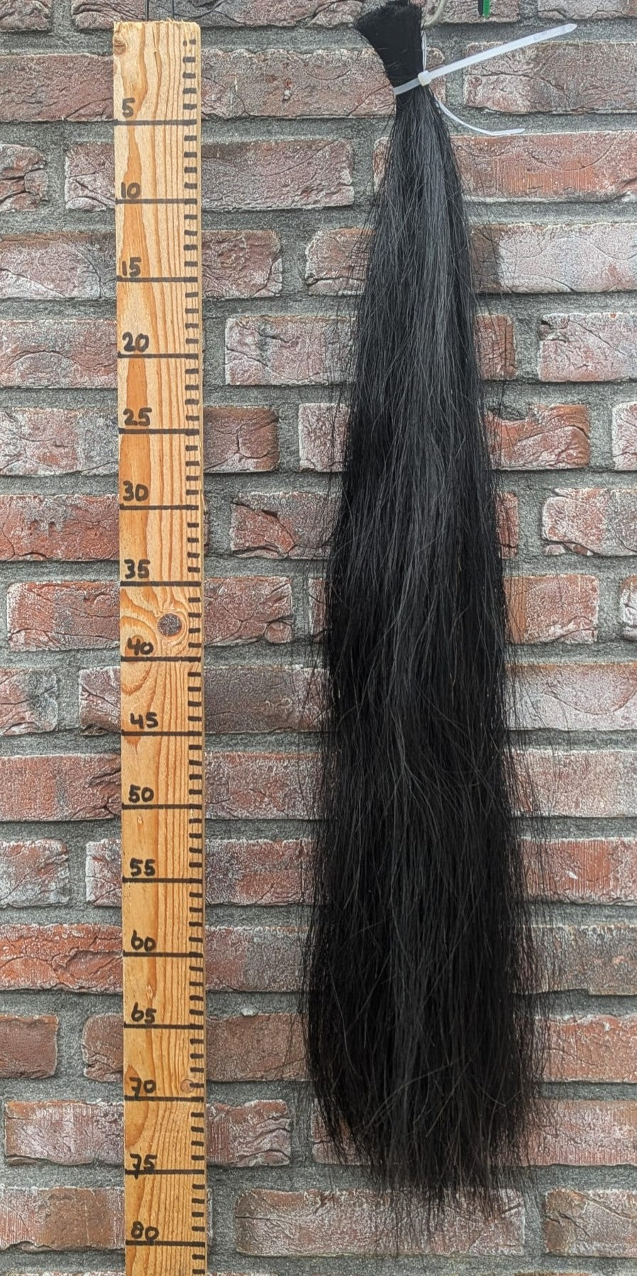 19/10 Zwarte staart.