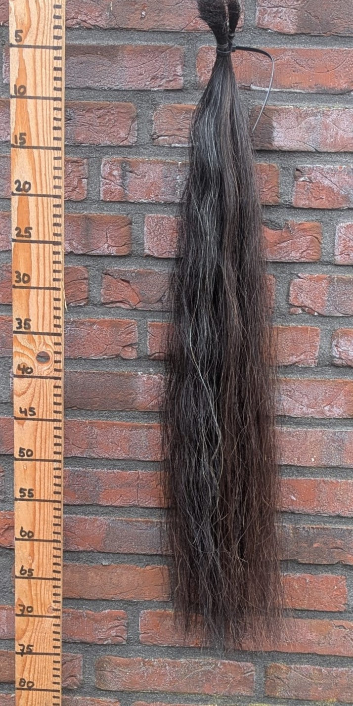 20/6 Zwarte staart met bruin er doorheen.