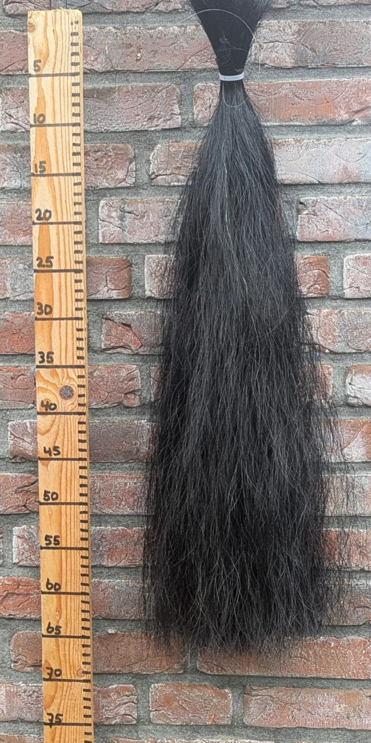 22/9 Volle zwarte staart.