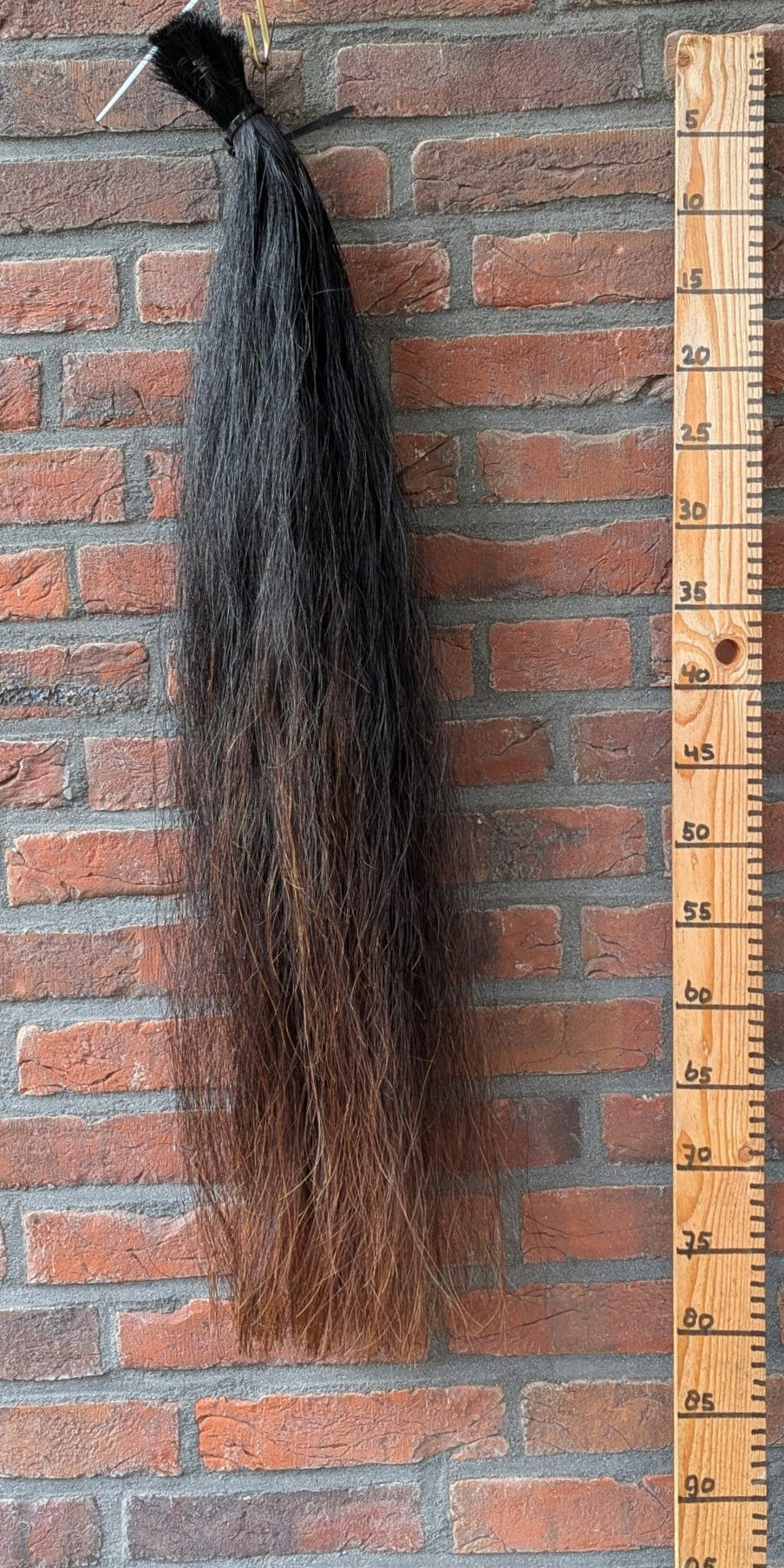 Zwarte staart met bruine onderkant.