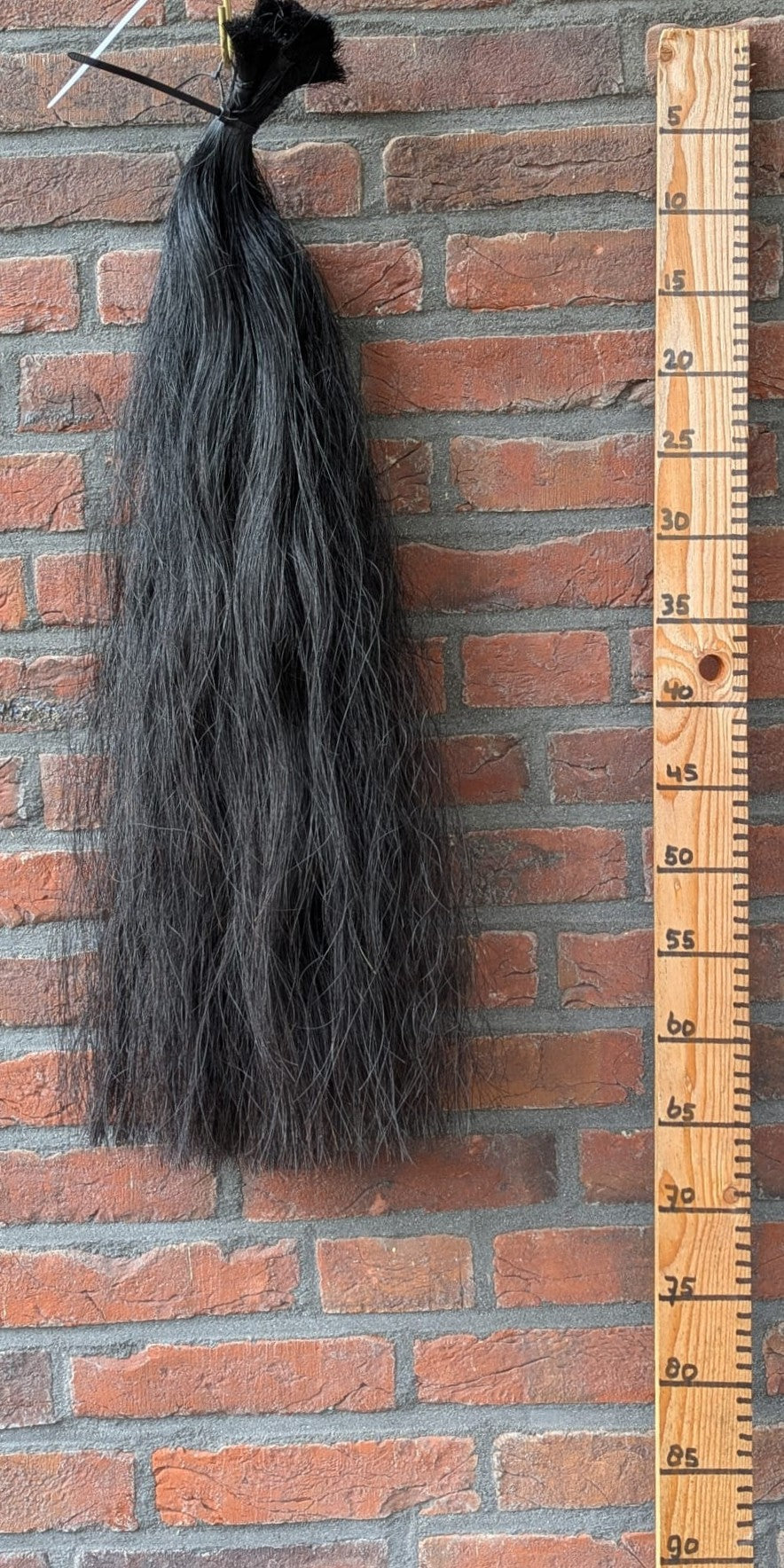 Zwarte staart.