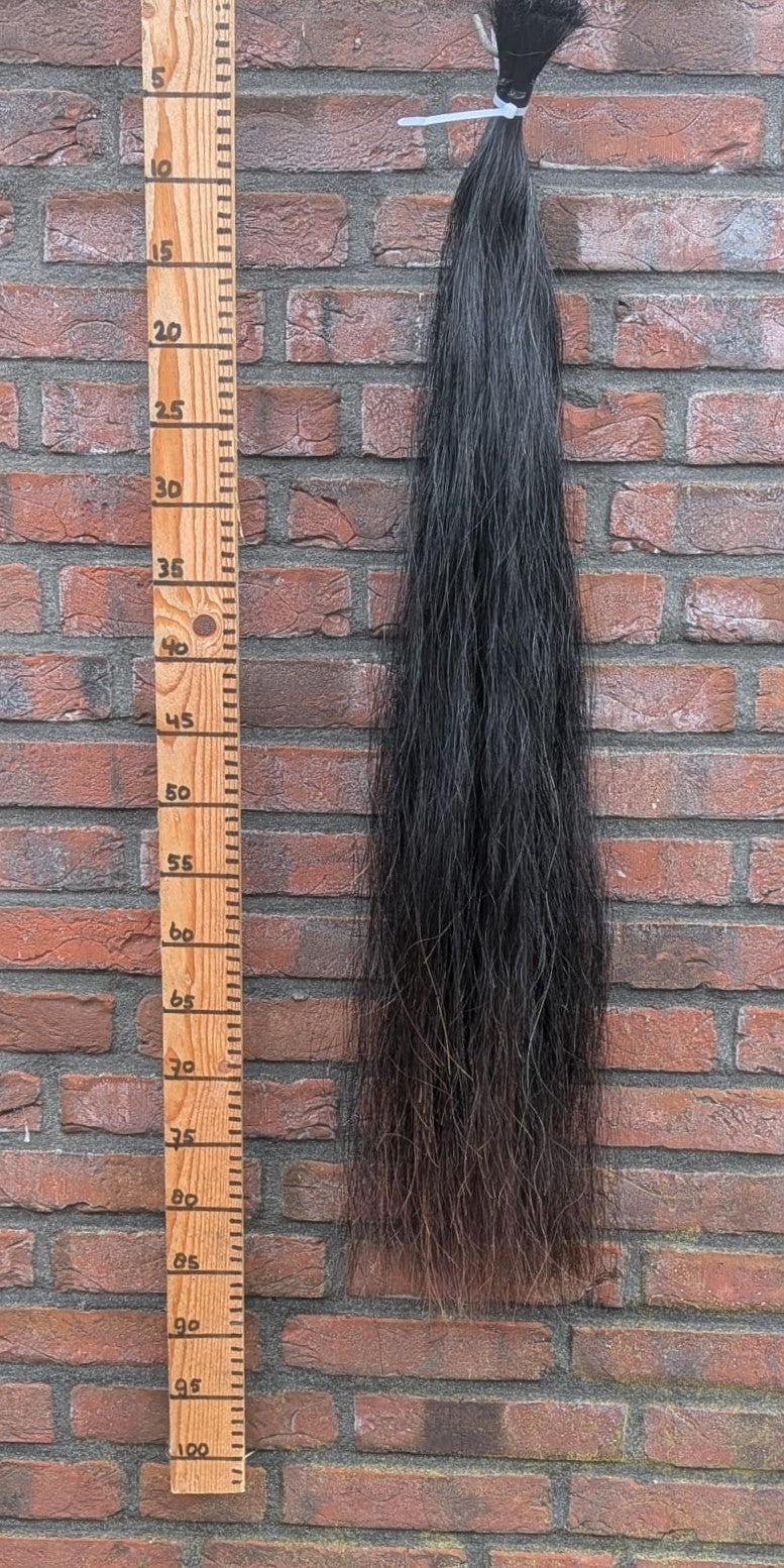 3/5 Zwarte staart met bruine onderkant.