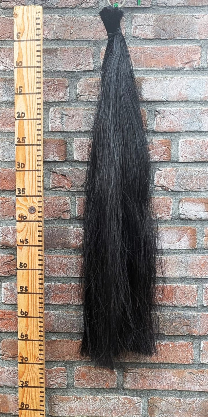 3/10 Volle zwarte staart.