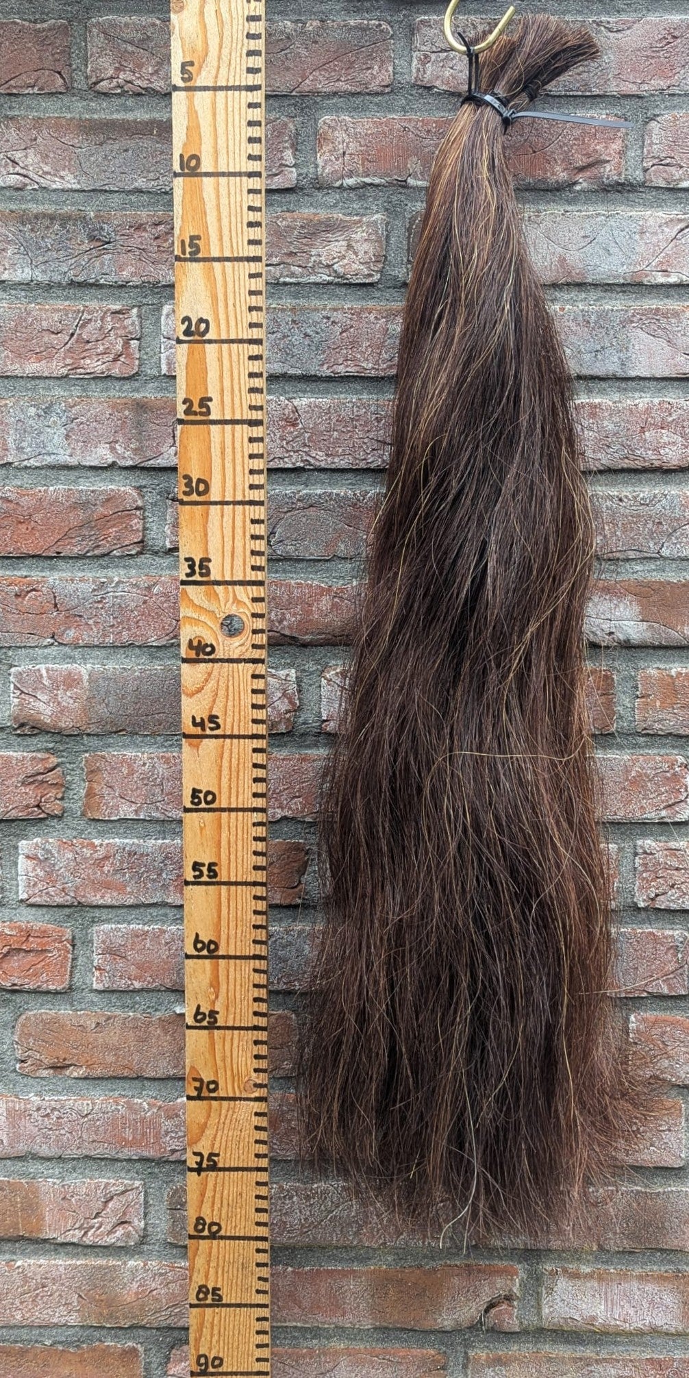 Volle voskleur staart.