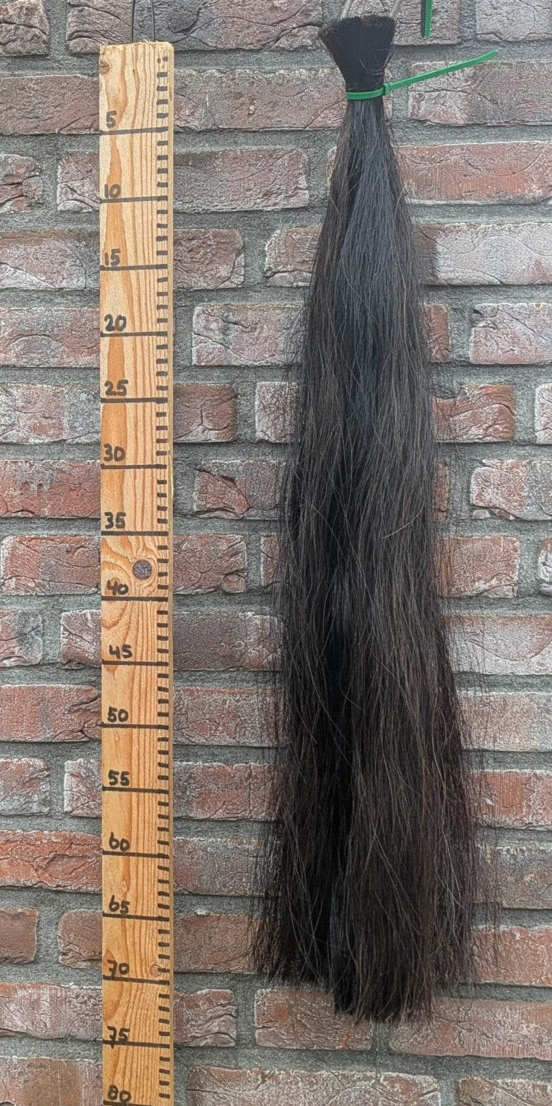 4/10 Volle zwarte staart.