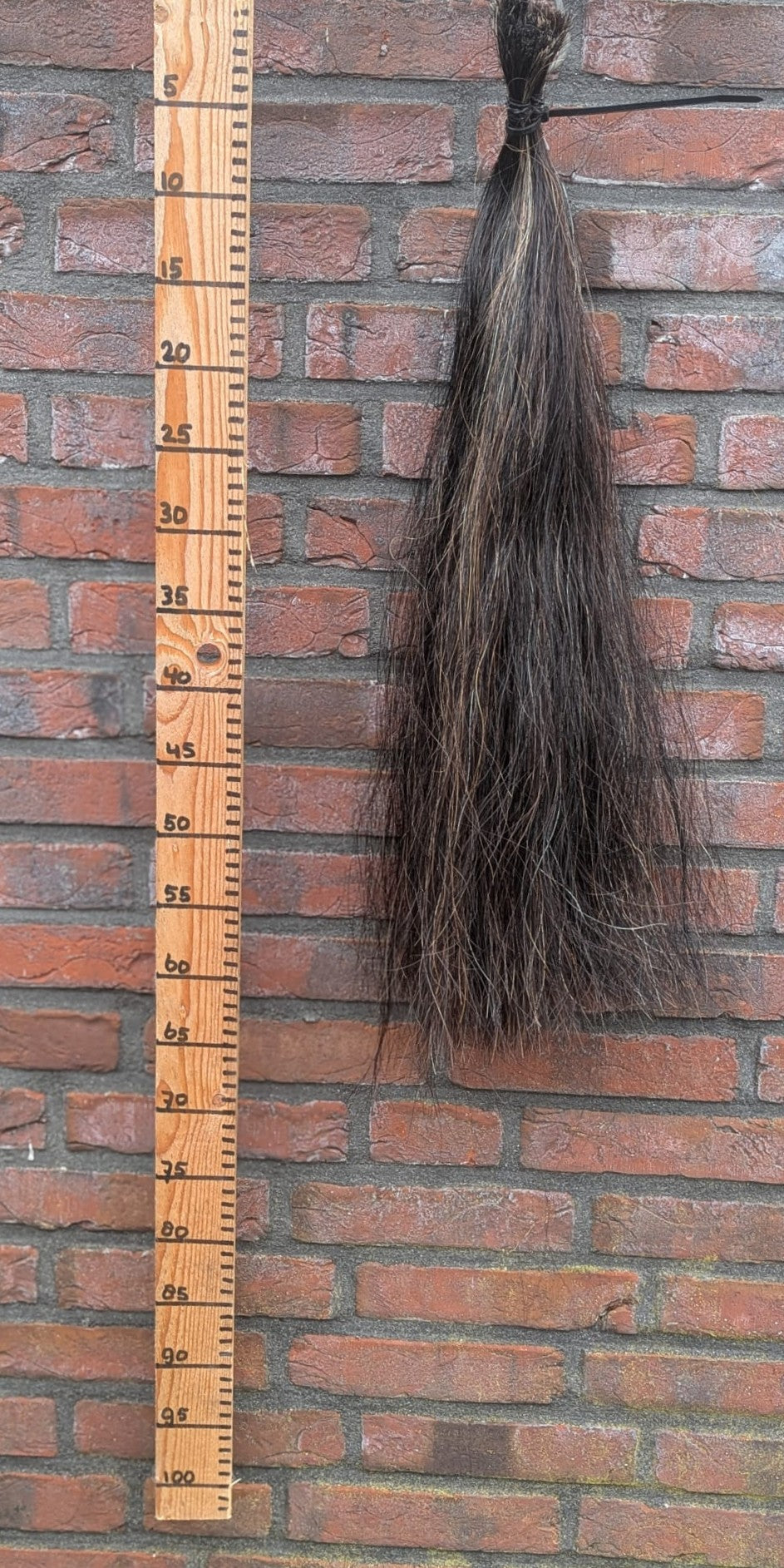 6/7 gemêleerde staart.