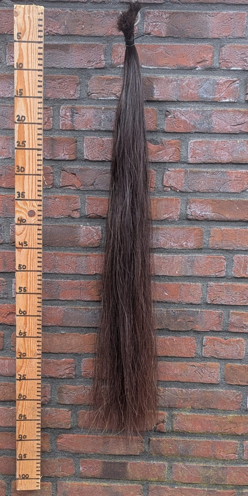 7/7 Donkere vos staart.