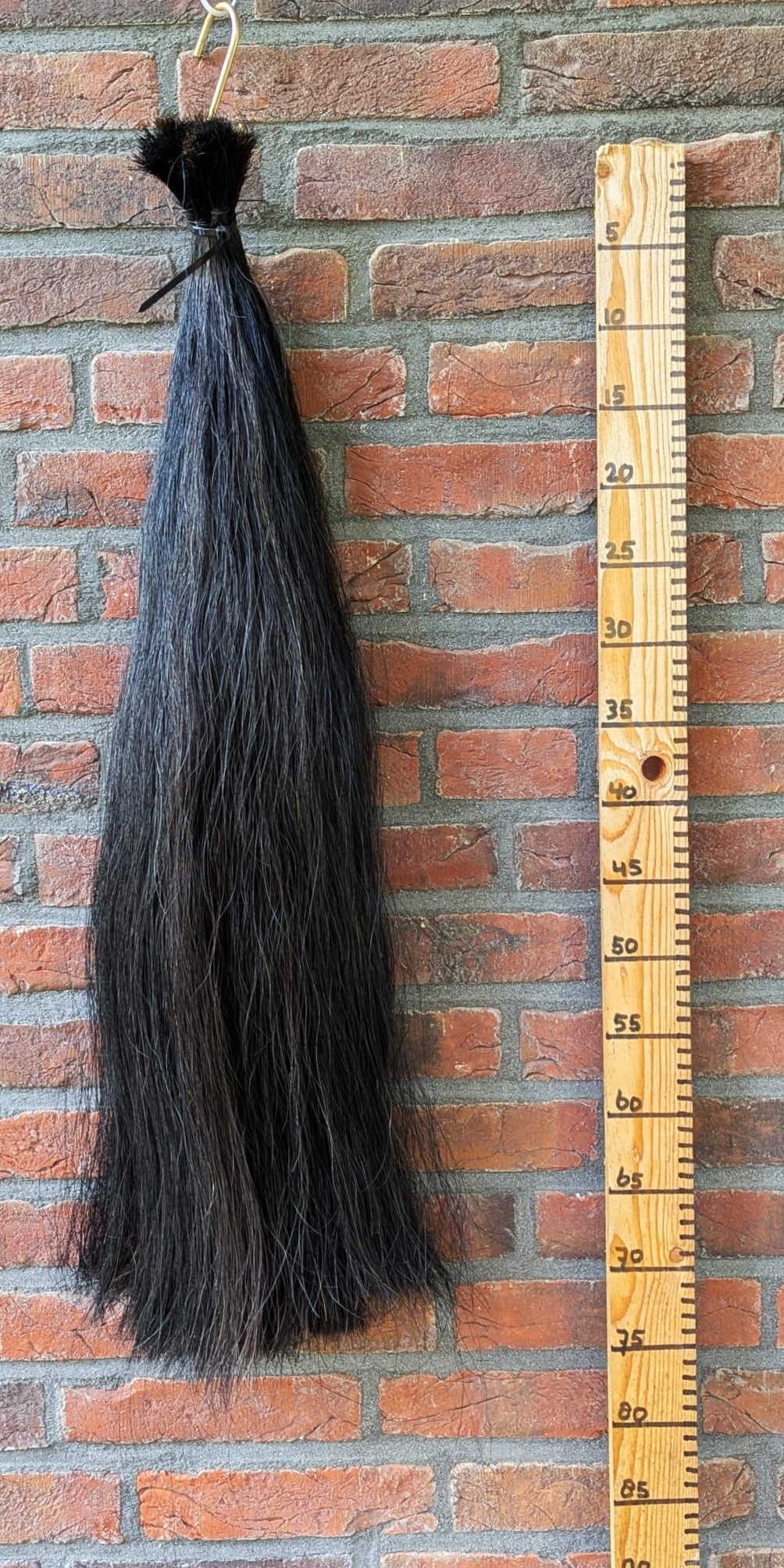 Volle zwarte staart.