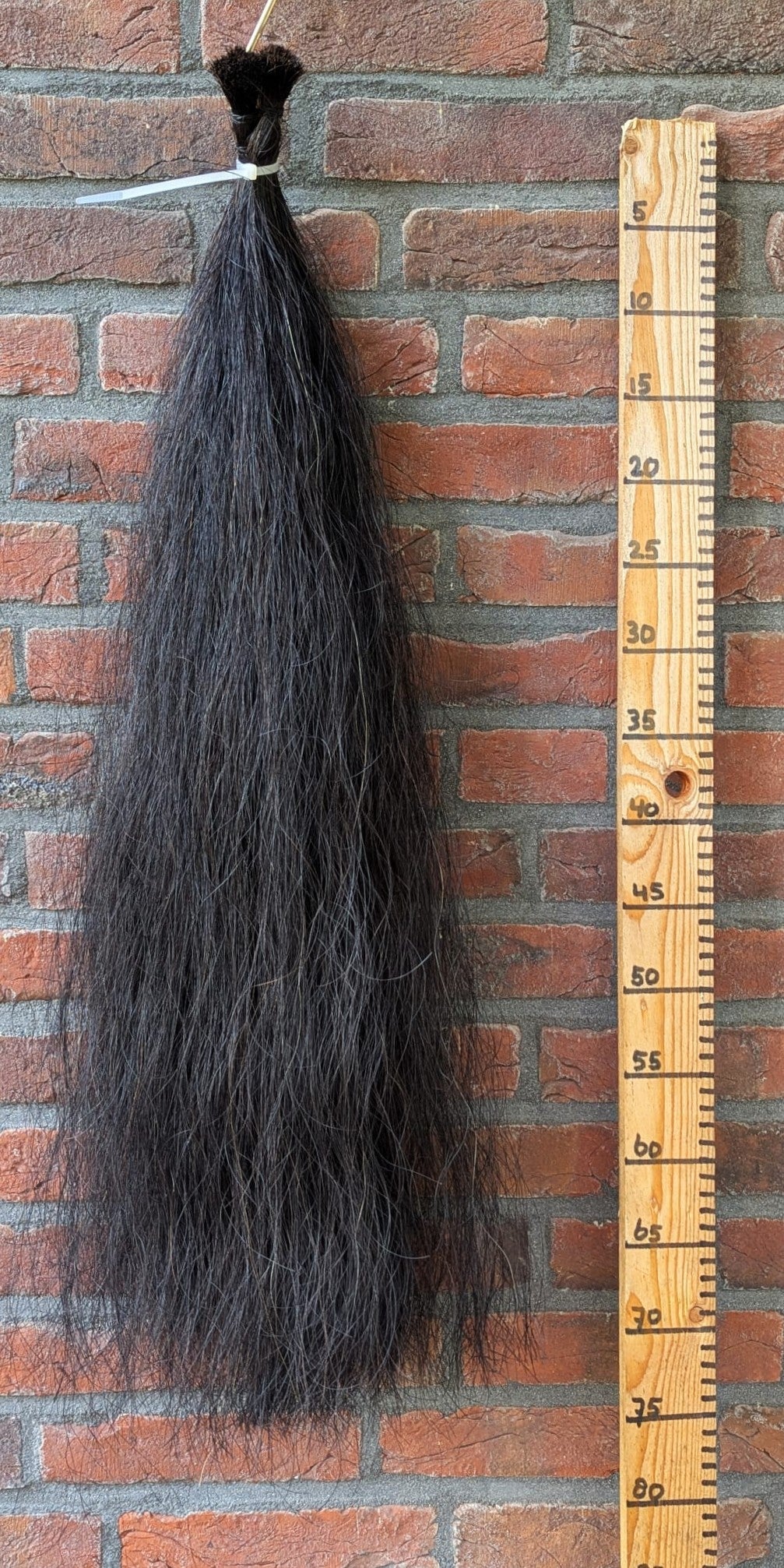 Volle zwarte staart.