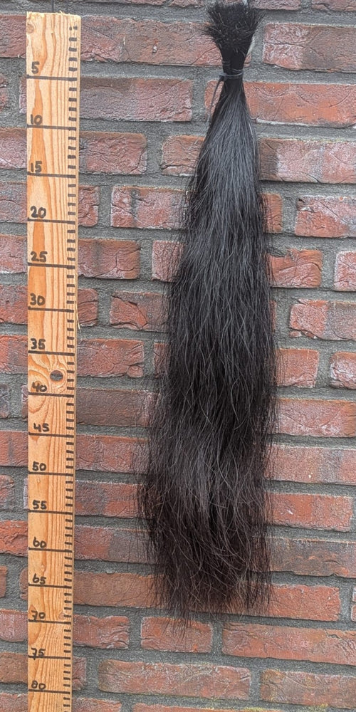 10/6 Zwarte staart met iets bruin onderkant.