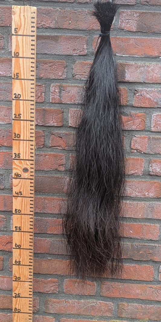 10/6 Zwarte staart met iets bruin onderkant.