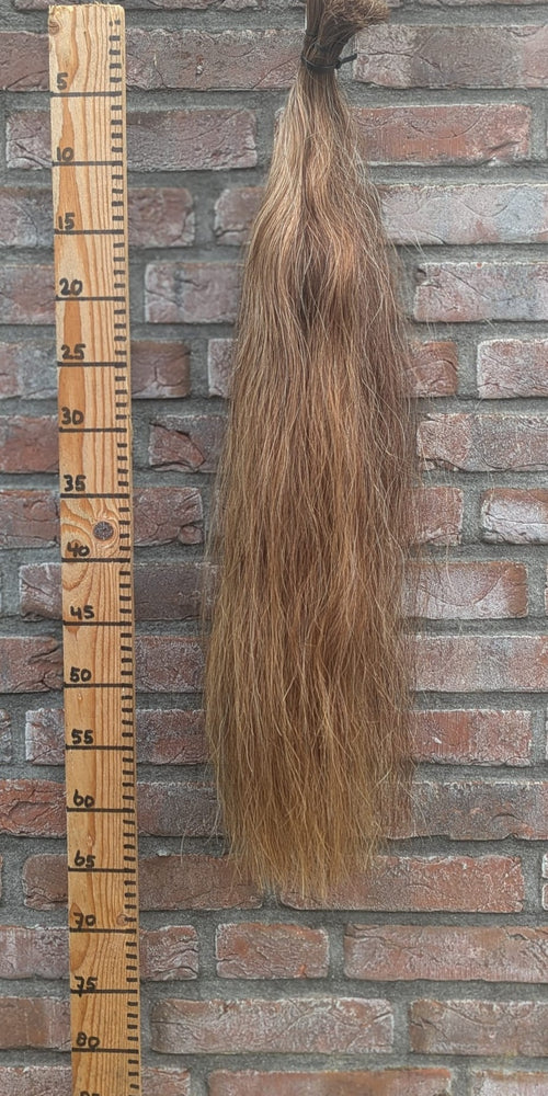 10/9 Lichte voskleur staart.