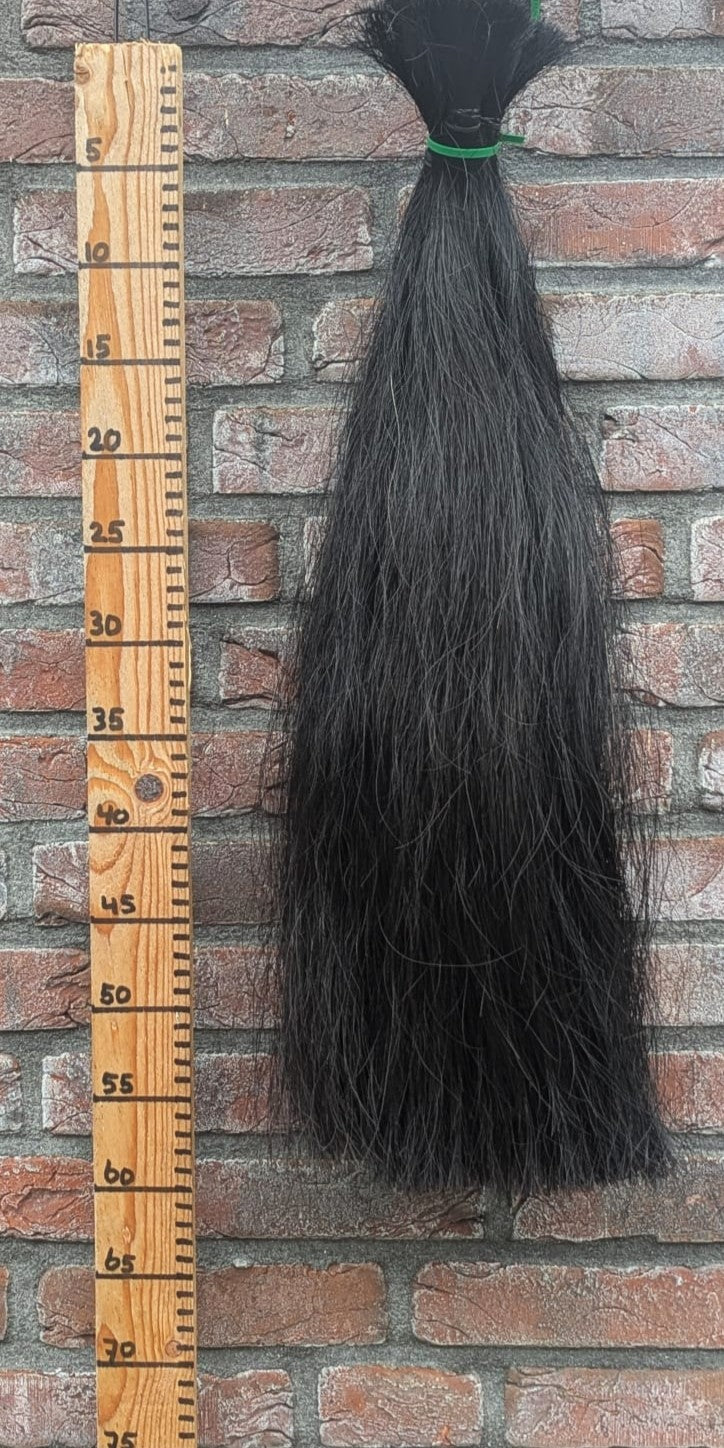 10/10 Volle zwarte staart.