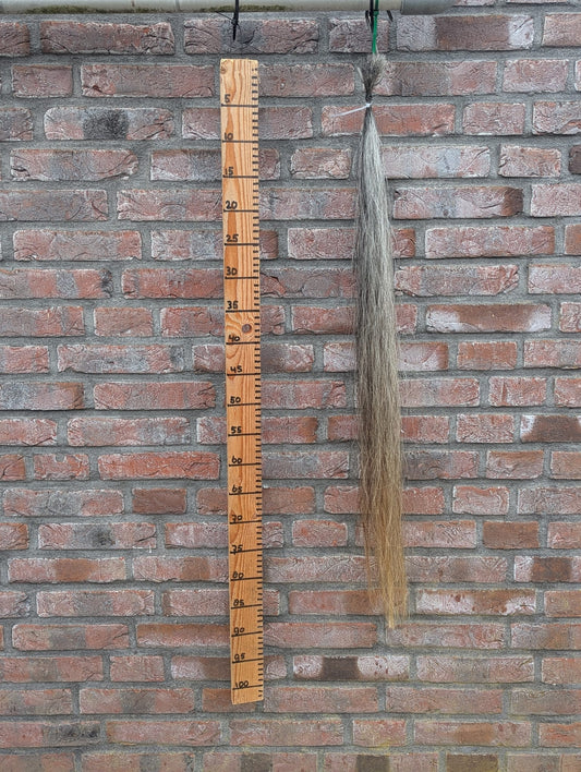 S-12/10 Grijze staart met gele onderkant.
