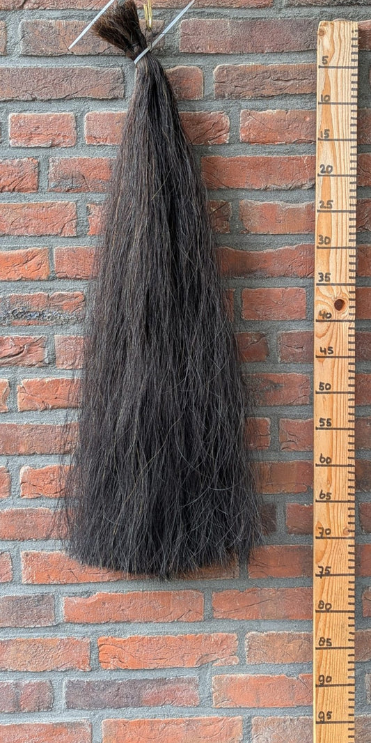 Volle zwarte staart.