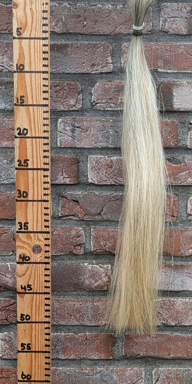 11/10 Wit/grijs staart.