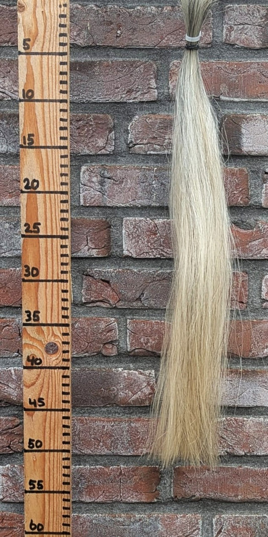 11/10 Wit/grijs staart.