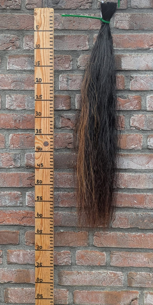 12/10 Zwarte staart met iets voskleur erin.