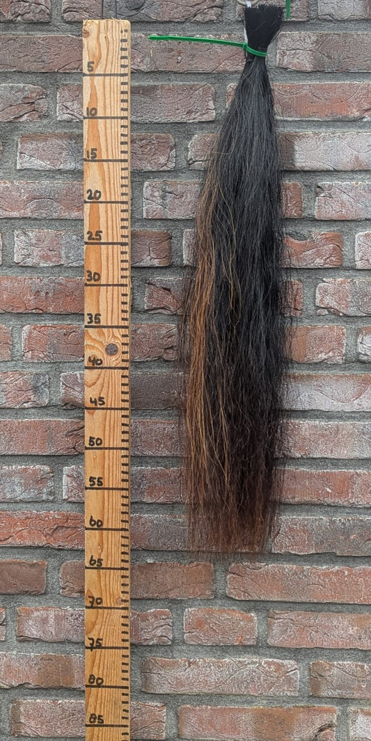 12/10 Zwarte staart met iets voskleur erin.