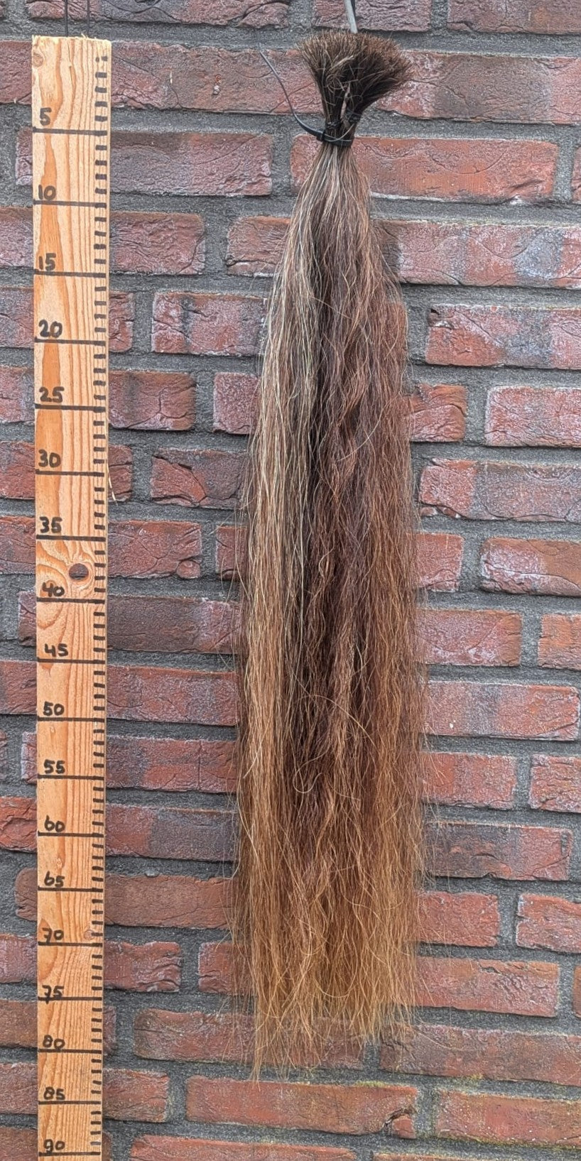 12/7 Voskleur staart.