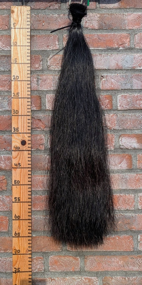 12/8 Volle zwarte staart.