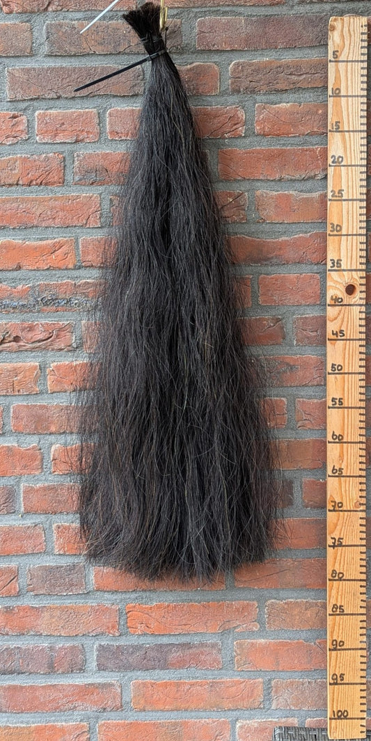 Volle zwarte staart.