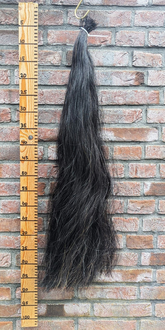Zwarte staart van zacht haar.
