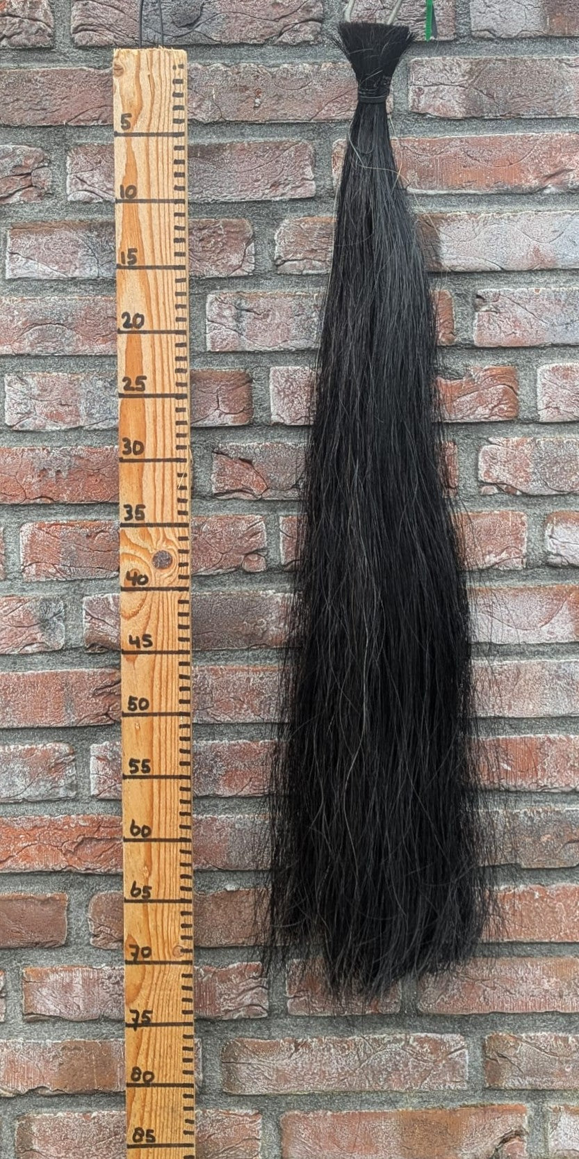 13/10 Zwarte staart.