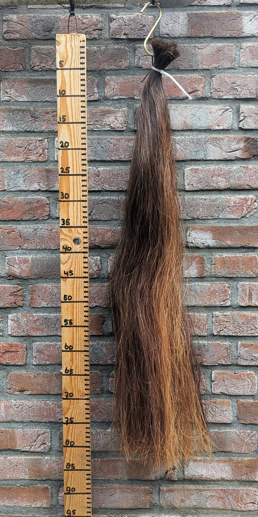 2 kleurige vos staart