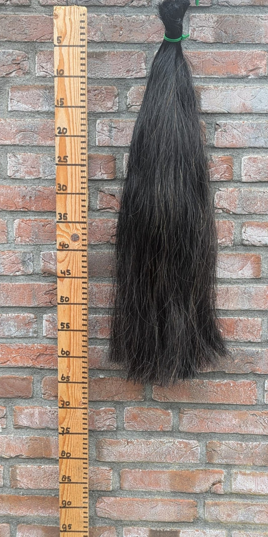 14/10 Volle zwarte staart.