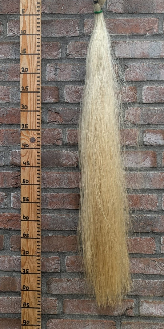 14/9 witte staart met gele onderkant.