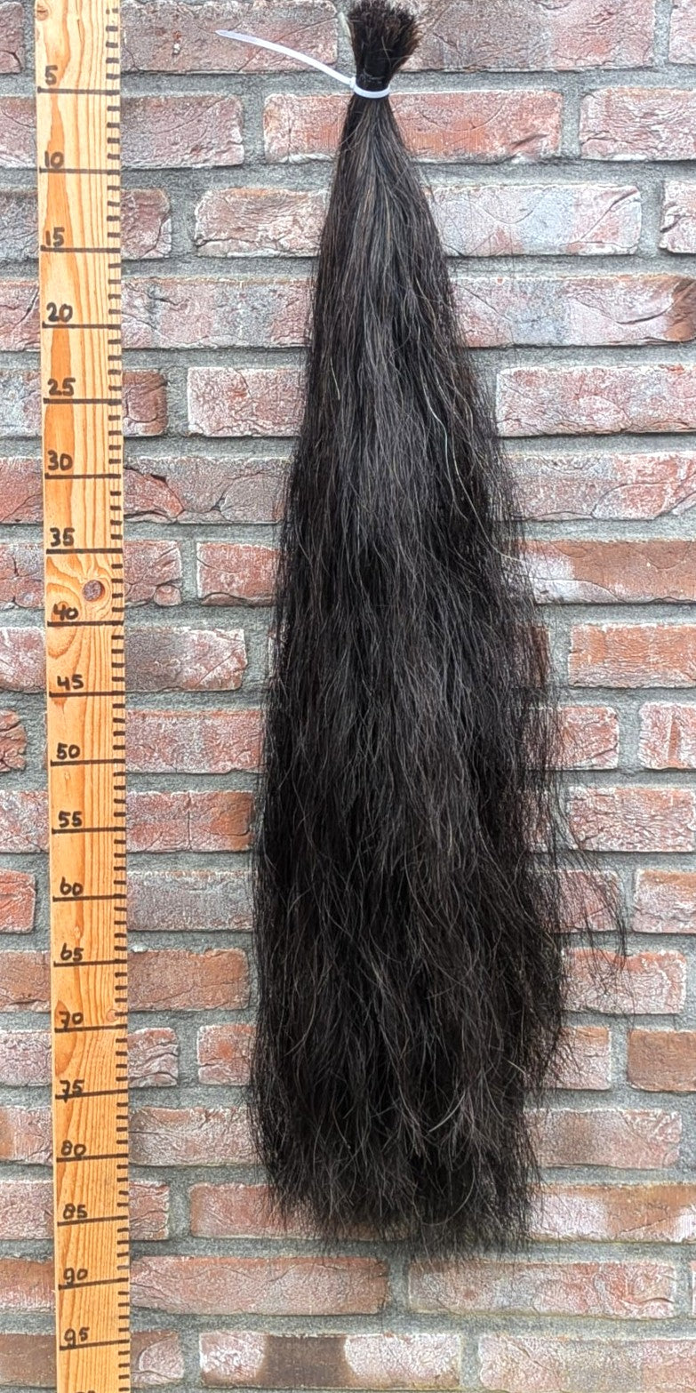 12/15 Volle zwarte staart.