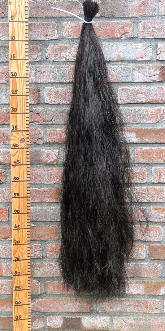 12/15 Volle zwarte staart.