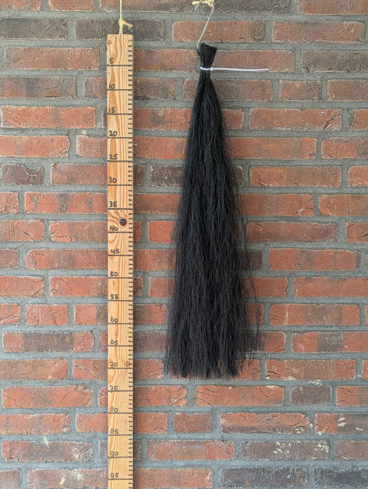 15/13 Zwarte staart.