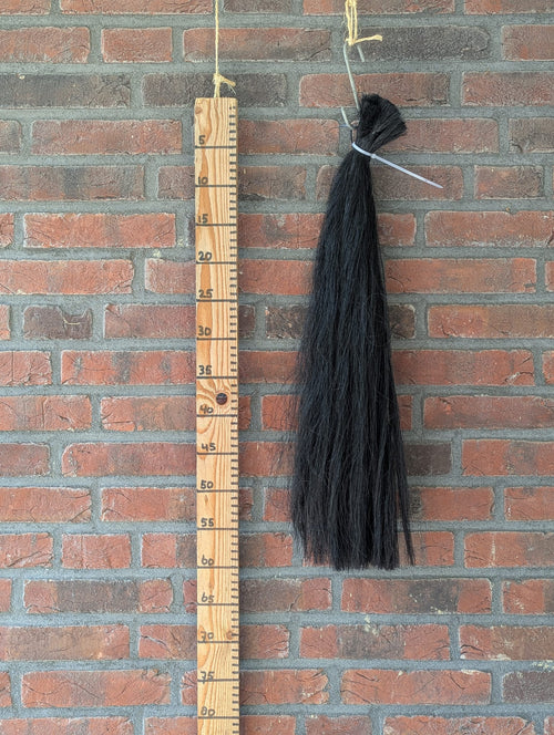 16/13 Zwarte staart.