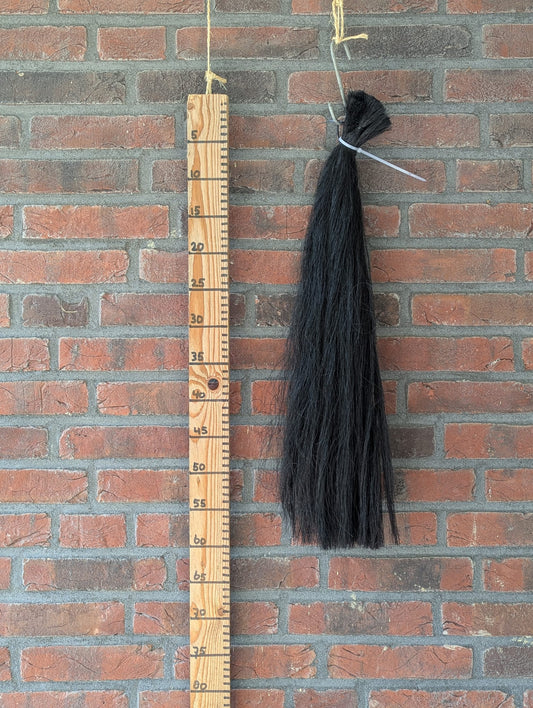 16/13 Zwarte staart.