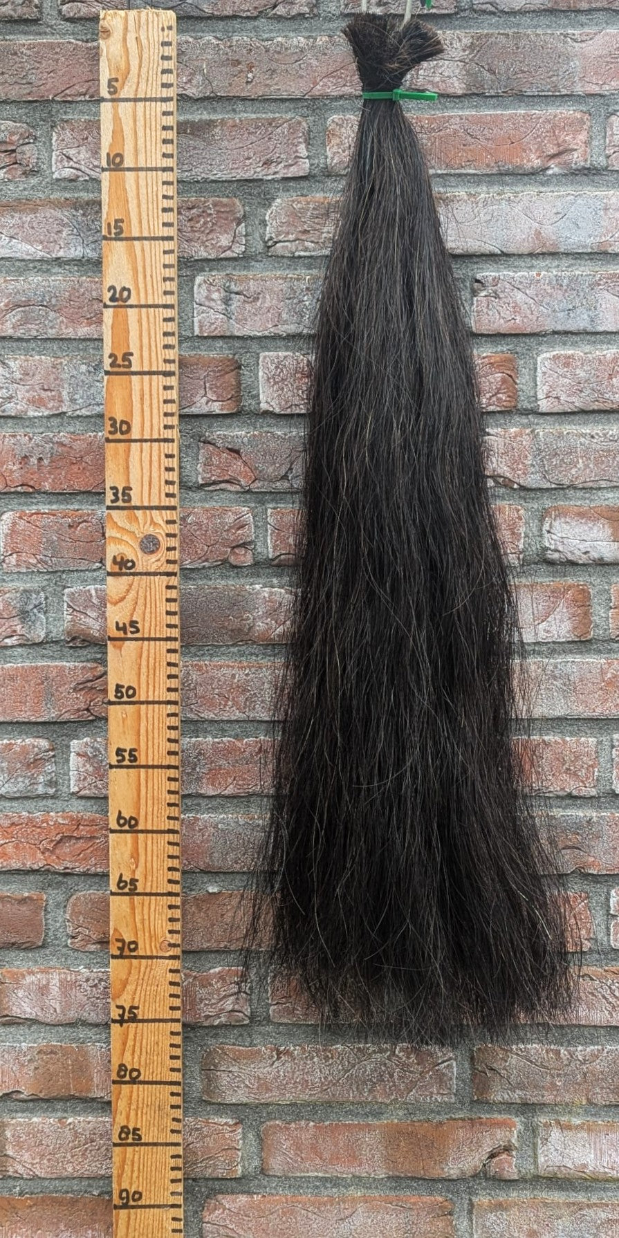 16/10 Zwarte staart.