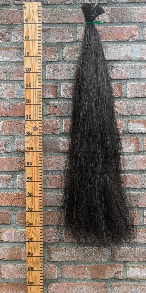 16/10 Zwarte staart.