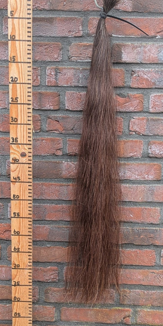 16/6 Donker vos staart.