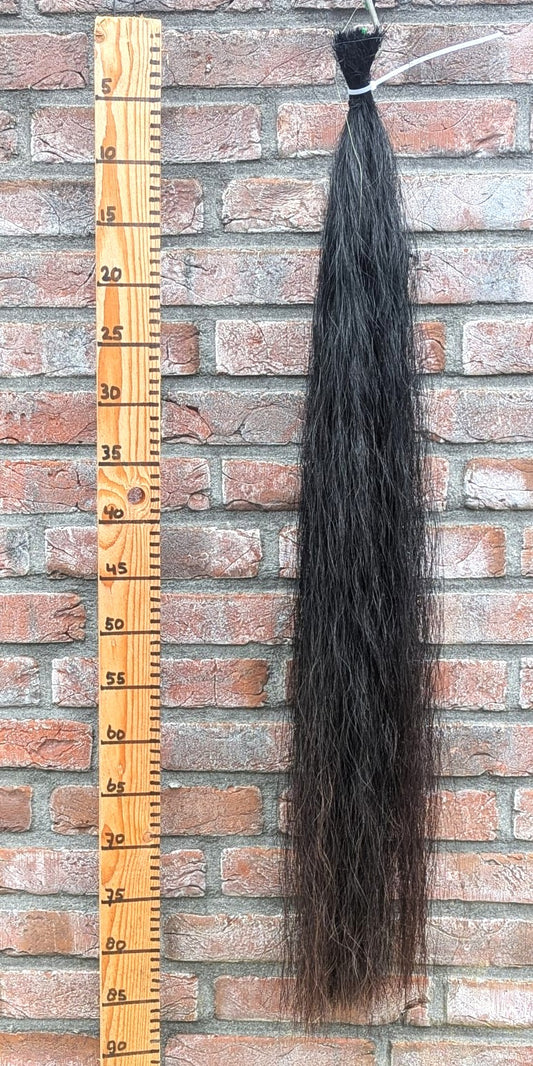 12/17 Zwarte staart met bruine punten.