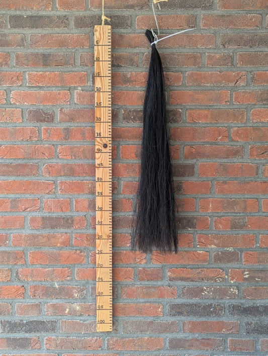 17/13 Zwarte staart.