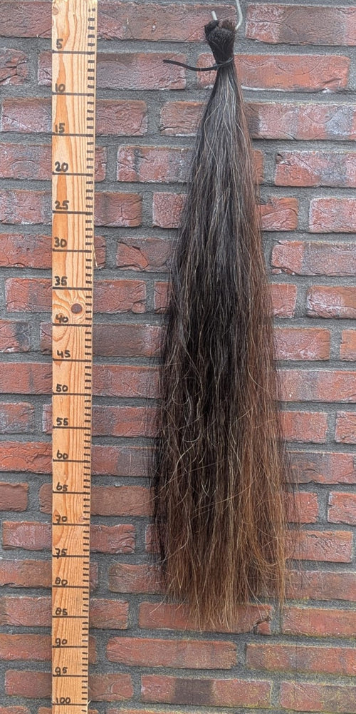 17/7 Donkere vos staart met iets lichtere onderkant.