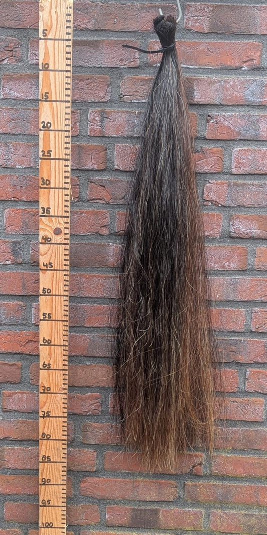 17/7 Donkere vos staart met iets lichtere onderkant.