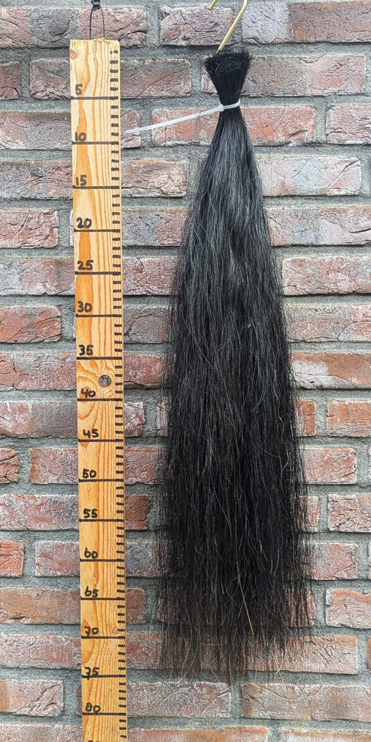 S-18/1  Zwarte staart met iets bruin aan de onderkant.