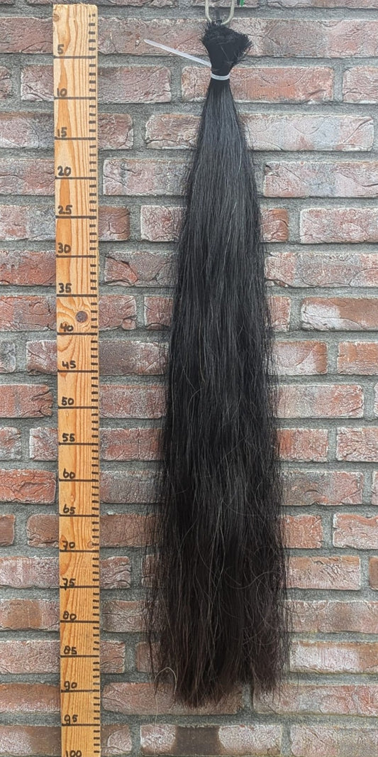 19/9 Volle zwarte staart met bruine onderkant.