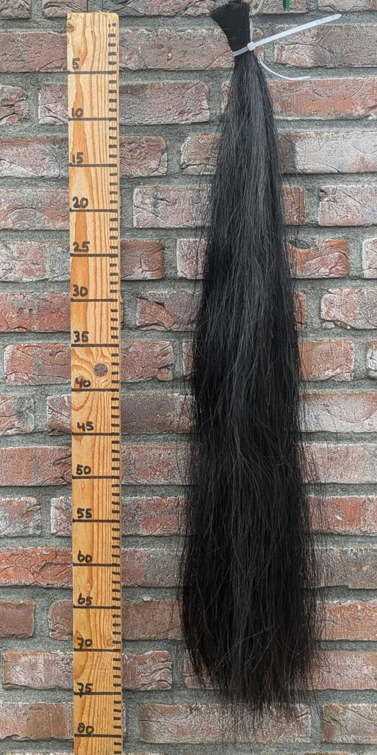 19/10 Zwarte staart.